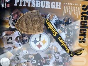 Pittsburgh Steelers Solid Bronze Lanyard Medallion Shield